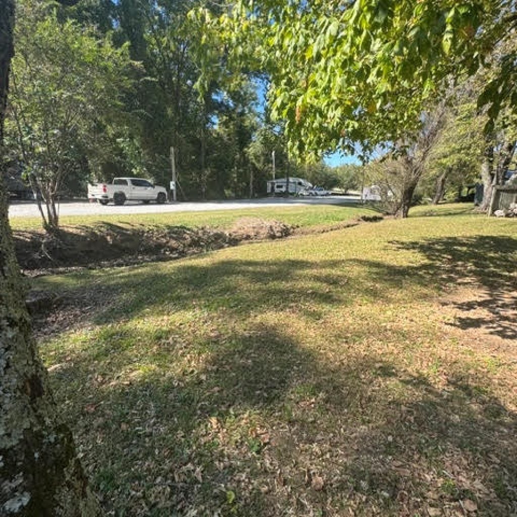 A grassy yard in autumn with a white pickup truck parked on the road in the distance.